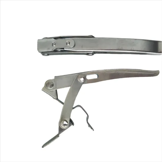 Customized Stainless Steel Lever Lock for Drum Sealing