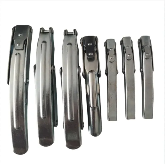 Customized Stainless Steel Lever Lock for Drum Sealing