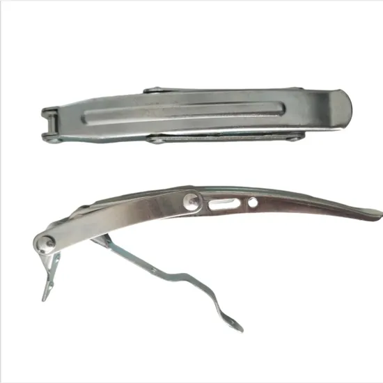 Customized Stainless Steel Lever Lock for Drum Sealing