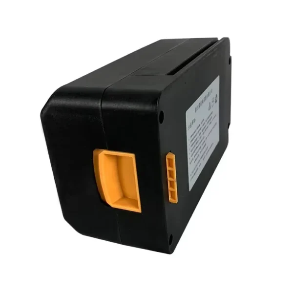 Portable Backpack Lithium Battery Sprayer for 10 Liters and Extra Low Voltage Garden Electric Sprayer