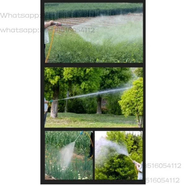 High Pressure Petrol Sprayer Pump 2-Stroke Engine Used for Plant Care Construction Retail Portable Farming Equipment