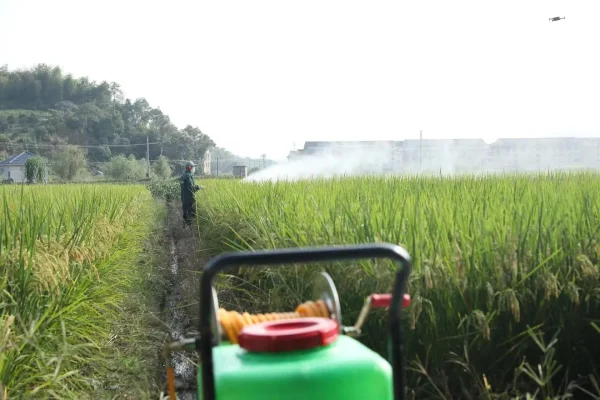 50L/60L/160L Garden Agriculture 4 Wheel Hand Push Motorized Sprayer Automatic High Efficiency Gasoline Spraying Machine