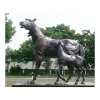 Bronze Horse Sculpture on The Lawn Horse Bronze Statue
