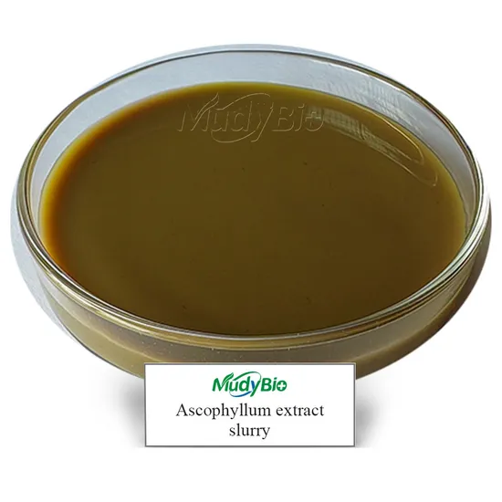 Seaweed Fertilizer Ascophyllum Nodosum Extract Algae Biositimulant Organic Liquid