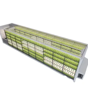 40FT Container Hydroponic Farm with Remote Monitoring for Easy and Smart Operation