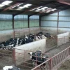 Steel Structure for Cattle Farm with Durable Panels and Insulation
