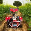 Fruit-Orchard-Farm-Rotary-Tillage-Ditching-and-Fertilization-with-Walk-Behind-Tractor-Cultivator (4) Fruit Orchard Farm Rotary Tillage Ditching and Fertilization with Walk Behind Tractor Cultivator