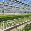 Indoor-and-Greenhouse-Hydroponic-Farm-with-Soilless-Cultivation (1) Indoor and Greenhouse Hydroponic Farm with Soilless Cultivation