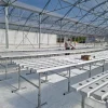 Indoor-and-Greenhouse-Hydroponic-Farm-with-Soilless-Cultivation (4) Indoor and Greenhouse Hydroponic Farm with Soilless Cultivation