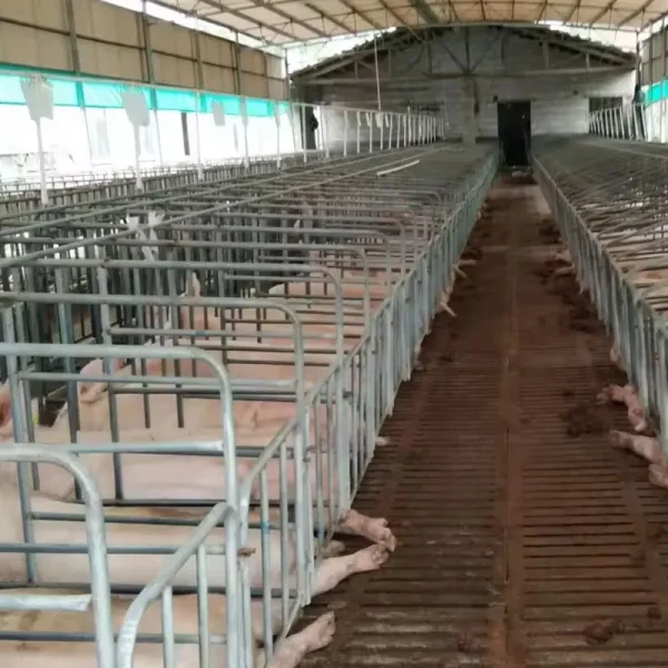 Light Steel Structure Construction Warehouse Building Large Span Metal Farm with Nice Design