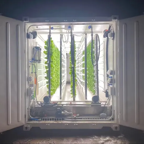 Mushroom-Grow-Room-Smart-Greenhouse-Farming-Machine-Shipping-Container-Farm Mushroom Grow Room Smart Greenhouse Farming Machine Shipping Container Farm