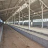 Steel Structure for Cattle Farm with Durable Panels and Insulation