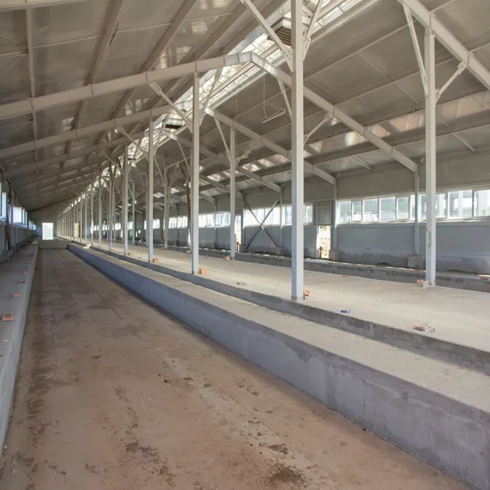 Steel Structure for Cattle Farm with Durable Panels and Insulation