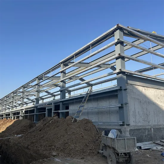 Steel Structure for Cattle Farm with Durable Panels and Insulation