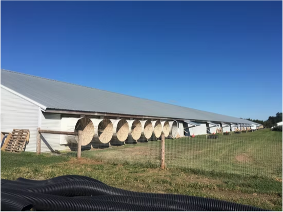 fv Durable and Cheap Chicken Farming with Factory Design Prefabricated Steel Structure Poultry Shed Building Chicken Farm