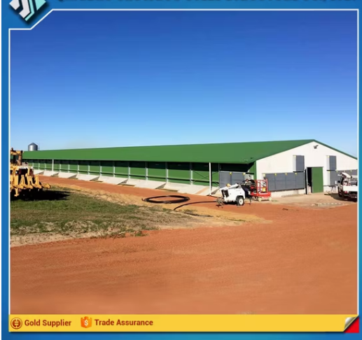 Durable and Cheap Mobile Chicken Farm with Factory Design