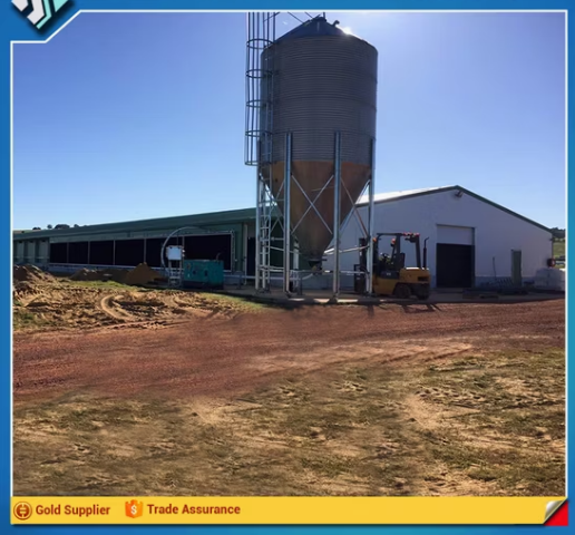 s2 Durable and Cheap Mobile Chicken Farm with Factory Design