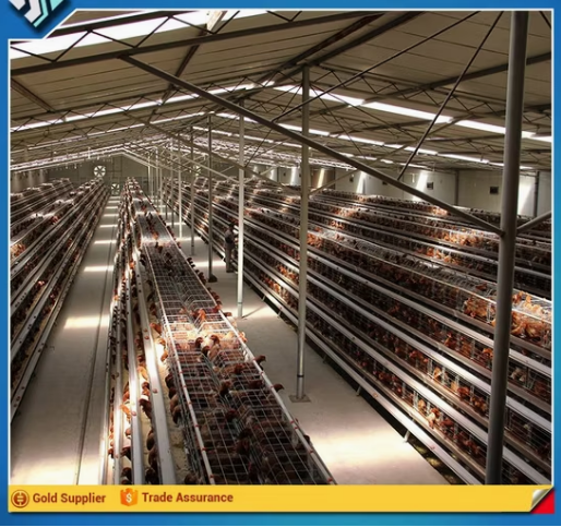 s3 Durable and Cheap Mobile Chicken Farm with Factory Design