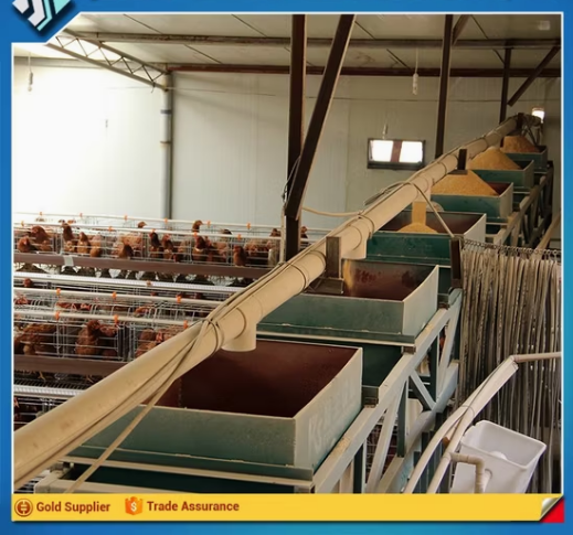 s4 Durable and Cheap Mobile Chicken Farm with Factory Design