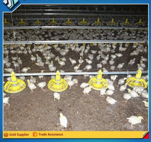 s5 Durable and Cheap Mobile Chicken Farm with Factory Design